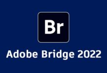 adobe bridge 2022